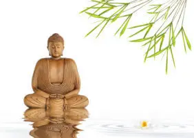 A wooden buddha statue sitting in the water.