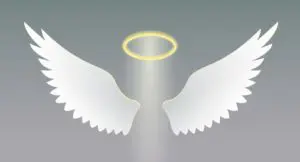 A white angel wings with a halo above it.