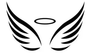 A black and white picture of an angel wing