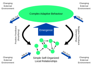 A diagram of complex adaptive behaviour and emergence.