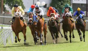 A group of people riding horses on top of grass.
