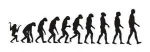 A black and white image of the evolution of man.